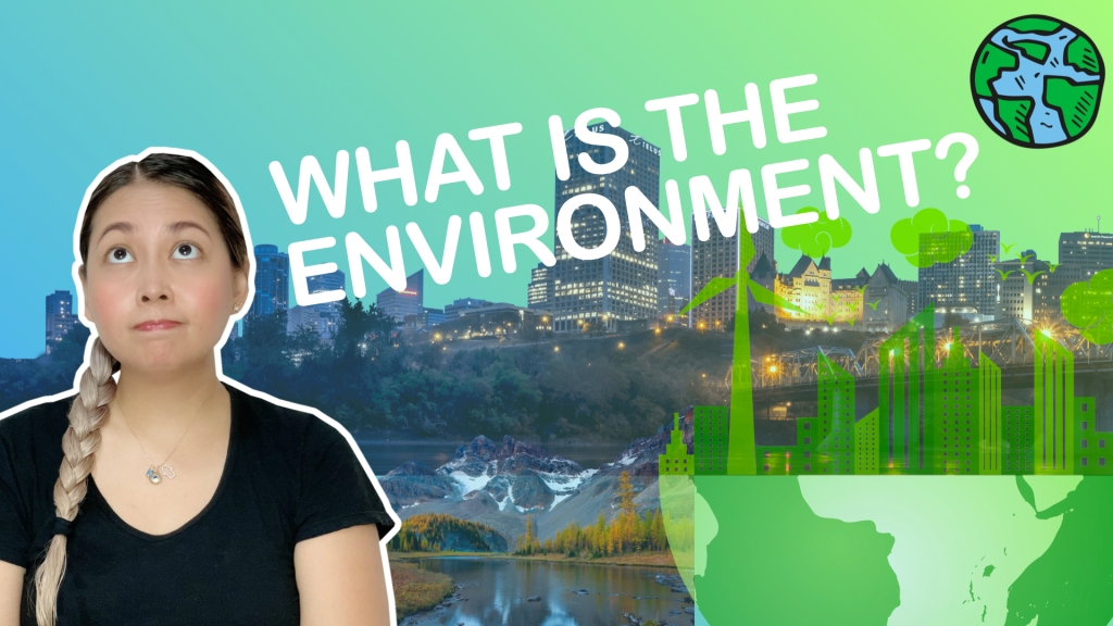 What is the Environment? | SHE-ensya Lecture Series (Environment)