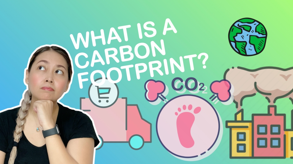 What is a Carbon Footprint? | SHE-ensya Lecture Series (Environment)